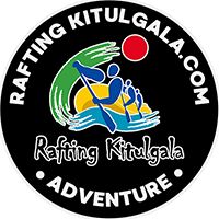 jacket logo 2inch